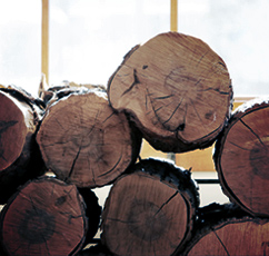 木材進口報關(guān)代理