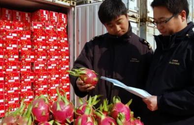 關(guān)于食品進(jìn)口報(bào)關(guān)你應(yīng)該知道的幾點(diǎn)知識(shí)