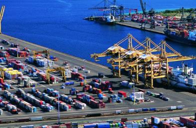 了解木材進口報關(guān)的相關(guān)知識尤為重要