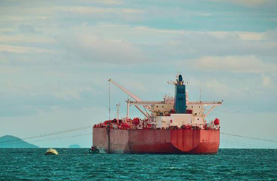 為何選擇進口代理？進口代理的行業(yè)趨勢及前景如何？