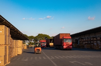 進口貨代作為連接國內外市場的橋梁，扮演著舉足輕重的角色