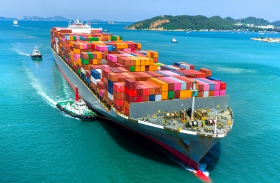 越南進口貨代在促進兩國經濟交流中扮演著舉足輕重的角色