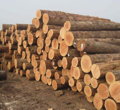 廣州貿(mào)易公司-微凹黃檀進(jìn)口報(bào)關(guān)案例